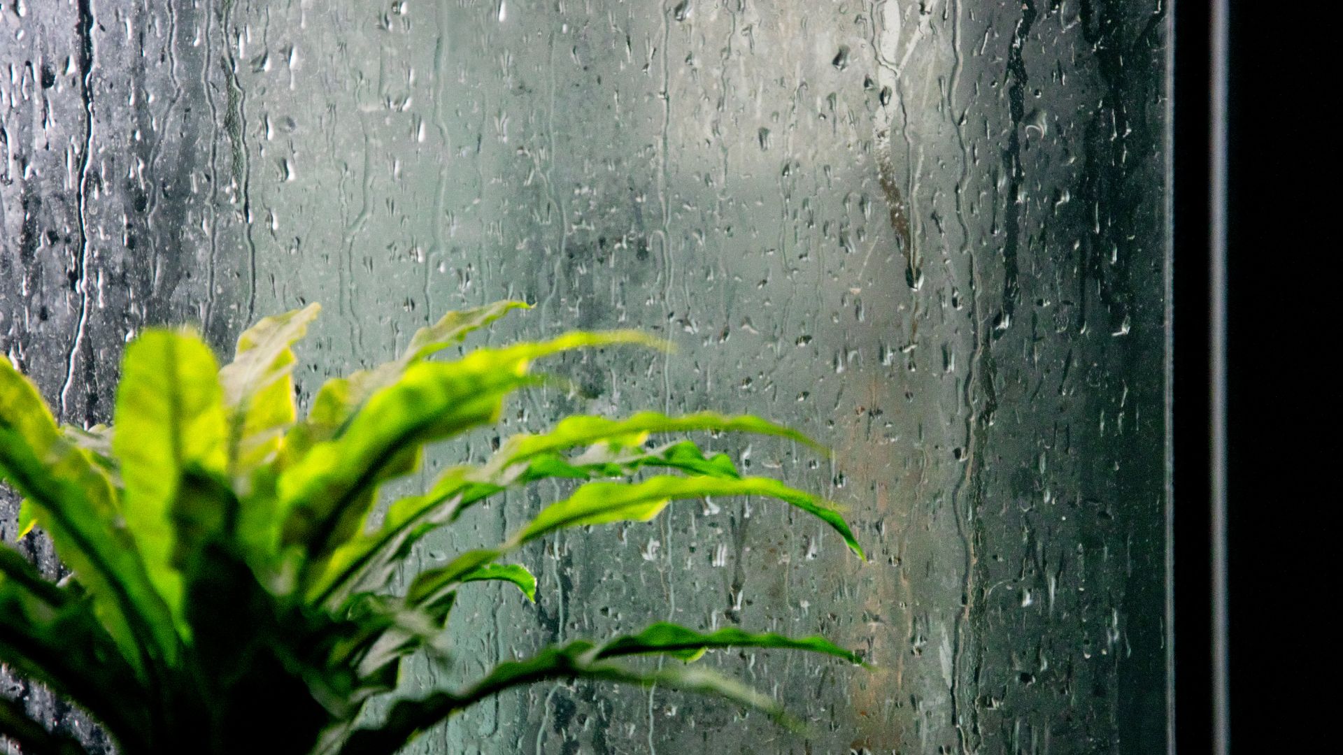 3 Ways Spring Showers Impact Your HVAC Unit
