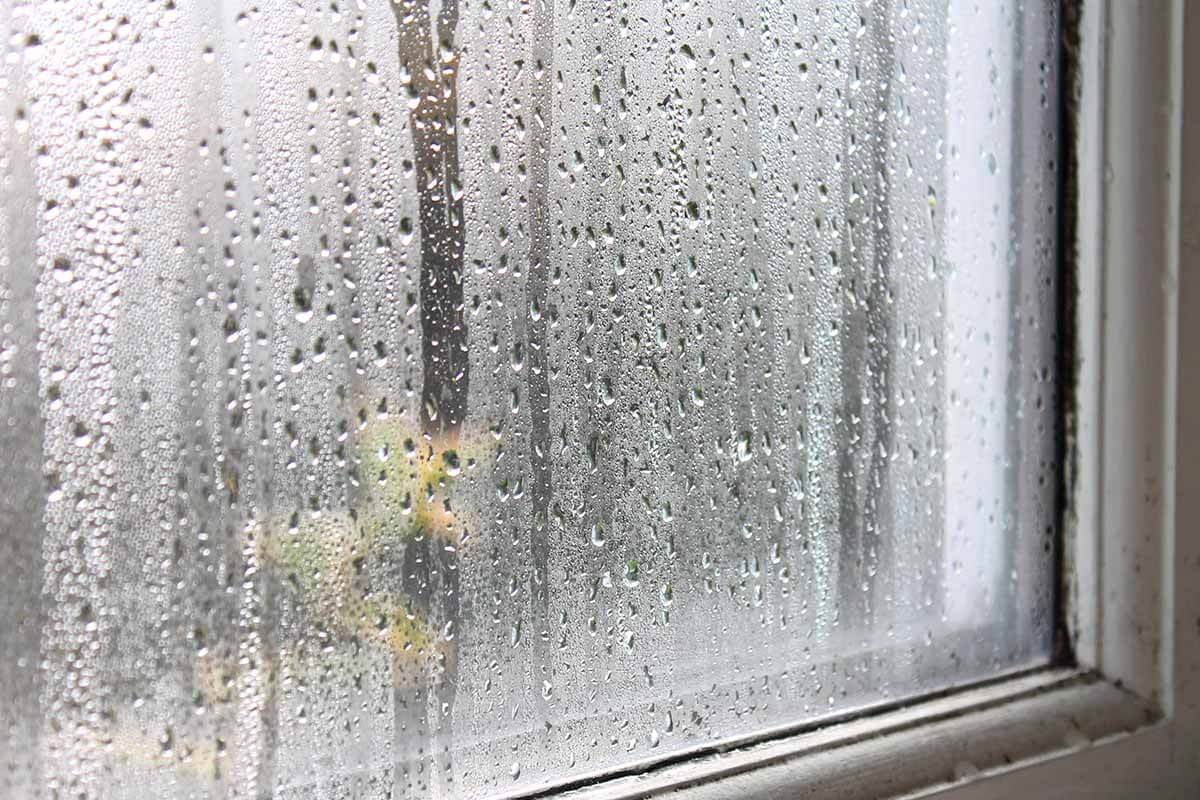 condensation from humidity on a window in a house