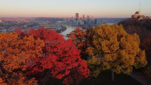 Fall-colored trees with view of cityscape in the background.