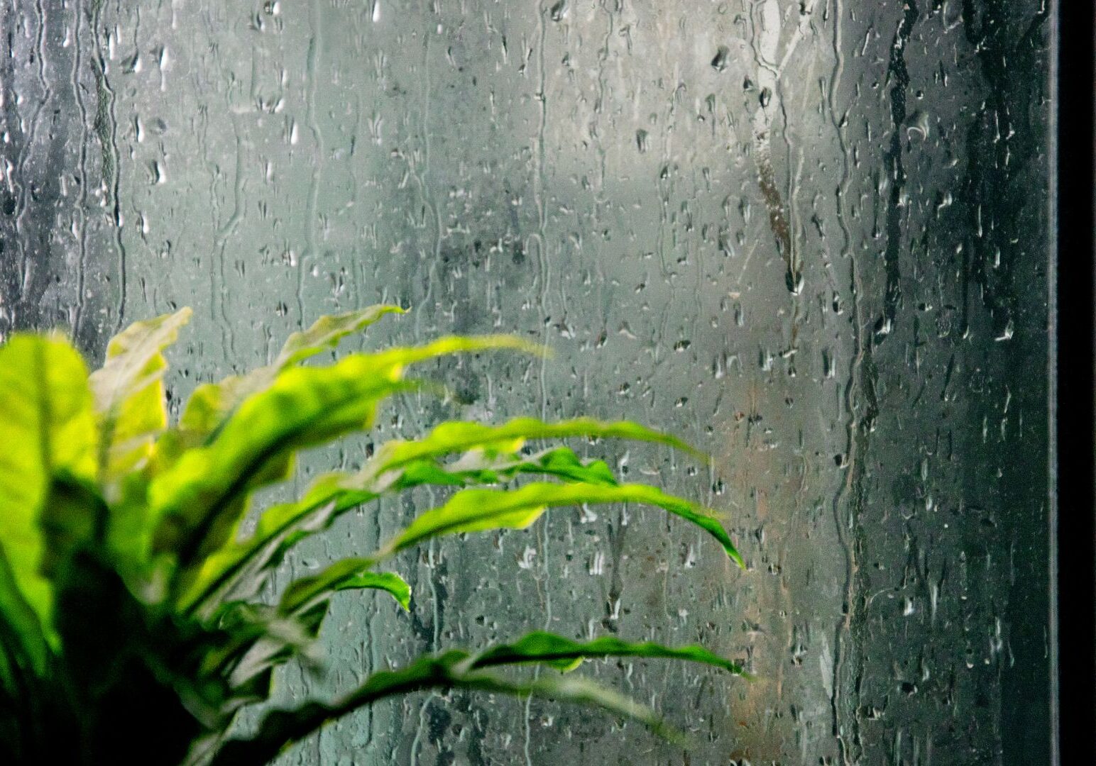 3 Ways Spring Showers Impact Your HVAC Unit and How To Prevent Them